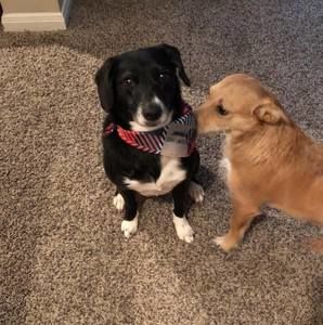 Meet your Posher, Chris